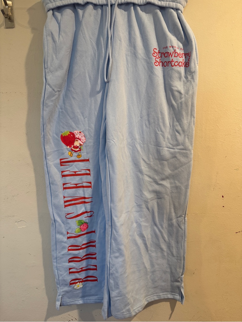 Strawberry Shortcake Light Blue Jogger Pants